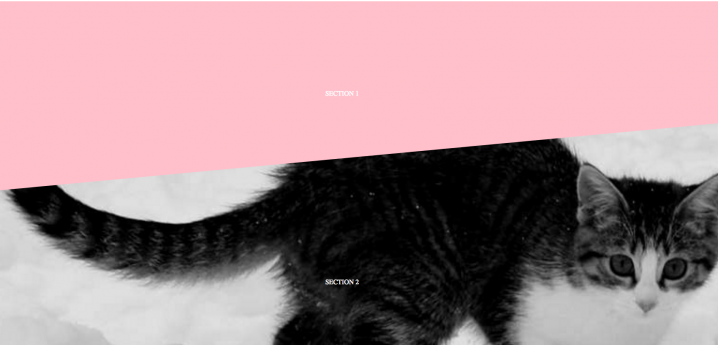screenshot_104