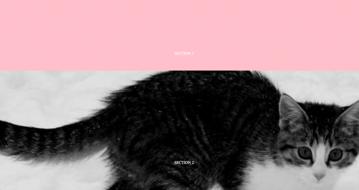screenshot_105